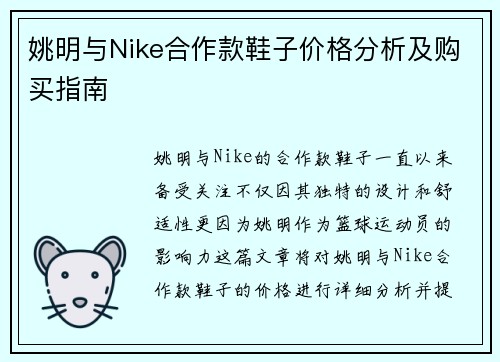 姚明与Nike合作款鞋子价格分析及购买指南