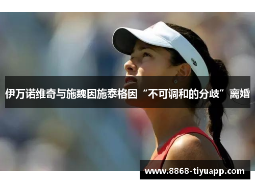 伊万诺维奇与施魏因施泰格因“不可调和的分歧”离婚